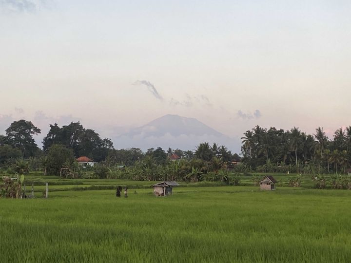 巴厘岛的稻田和火山 bali